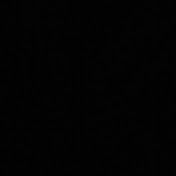 Profile Picture of Markus Pilzecker (@markuspilzecker9373) on Youtube
