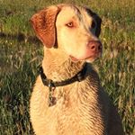 Profile Picture of Craig Elder (@craig.elder) on Instagram