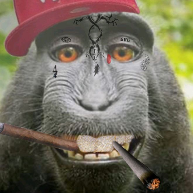 Profile Picture of Jerry McIlwain (@@breadst0nes) on Tiktok