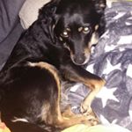 Profile Picture of Richard koop (@kooprichard) on Instagram