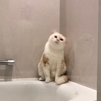 Profile Picture of Y (@TOM_SAN_DA_YOON) on Twitter