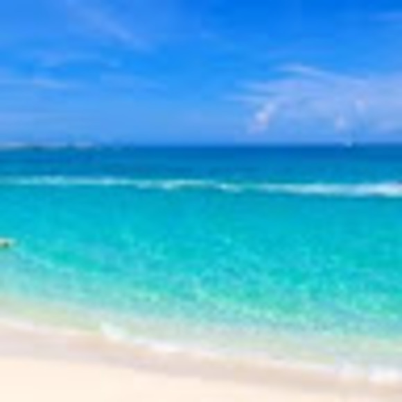 Profile Picture of Deloria Chubbs (@deloriachubbs) on Poshmark