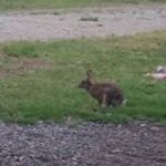 Profile Picture of Cletus Hal Schenk (@cletusschenk) on Instagram