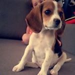 Profile Picture of Clara Grimaldi (@clara.grimaldi) on Instagram