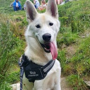 Profile Picture of Kevin Goodwin (@kevingoodwin9184) on Youtube