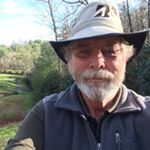 Profile Picture of Craig Bloxham (@bloxhamfl) on Instagram