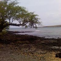 Profile Picture of Dayna Gilbertson-Jensen (@daynagj) on Pinterest