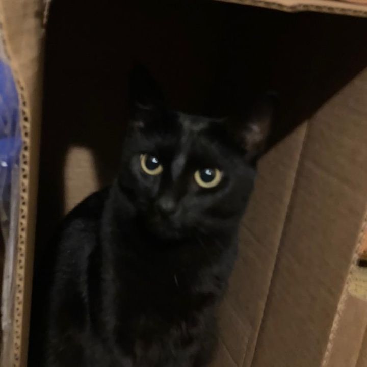 Profile Picture of James L. Weitzel (@jamesl.weitzel) on Tiktok