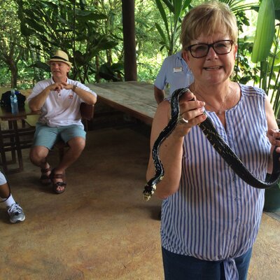 Profile Picture of Mike Barsi (@BarsiMike) on Twitter