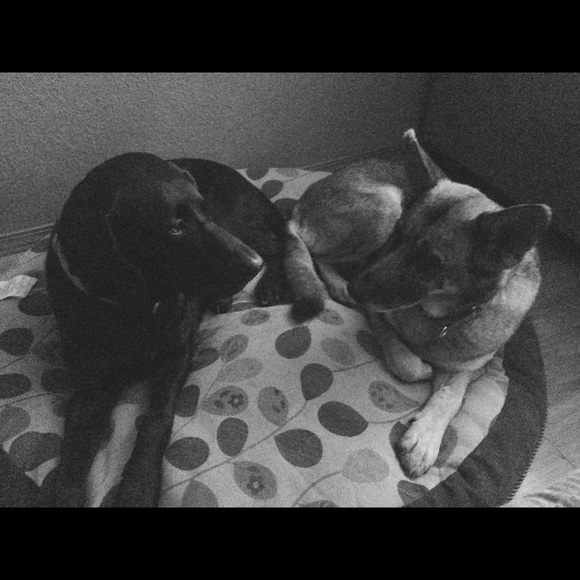 Profile Picture of Alexis Hoeye (@ahoeye) on Poshmark