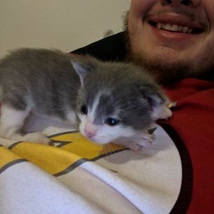 Profile Picture of Nickolas Jenkins (@NickolasJenkin5) on Twitter