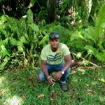 Profile Picture of Robin Perrine (@robin.perrine.16) on Instagram