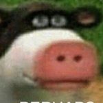 Profile Picture of person person (@richardooo_pharo) on Instagram