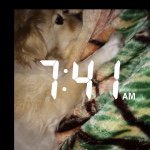 Profile Picture of Dixie Chavez🐶 (@dickse_) on Instagram