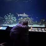 Profile Picture of Brand Molnar (@brand.molnar.5) on Facebook