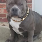 Profile Picture of Matthew Deese (@Matthew-Deese) on Facebook