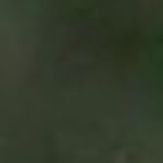 Profile Picture of Jacob Warmanwitz (@71554t7a) on Instagram