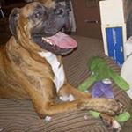 Profile Picture of Garth Harrison (@boobersscoobers) on Instagram