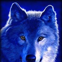 Profile Picture of Jerry Gates (@jerry-gates-6) on Quora