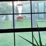 Profile Picture of Matthew Sparkman (@matthew.sparkman.3) on Facebook