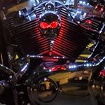 Profile Picture of Chad Myers (@motogump) on Instagram