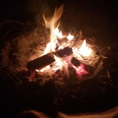 Profile Picture of Steve Wille (@SAINTSWILLE) on Twitter