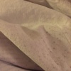 Profile Picture of karlmikkelsen (@@karlmikkelsen) on Tiktok