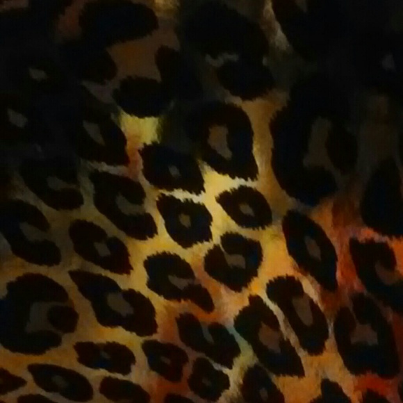 Profile Picture of Jose Alvarez (@josalv) on Poshmark