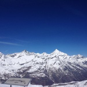 Unleqit_Baum - Twitter Profile Picture of Unleqit_Baum (@vincent43400148) on Twitter