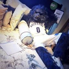 Profile Picture of Kevin Benson (@KevBens) on Twitter