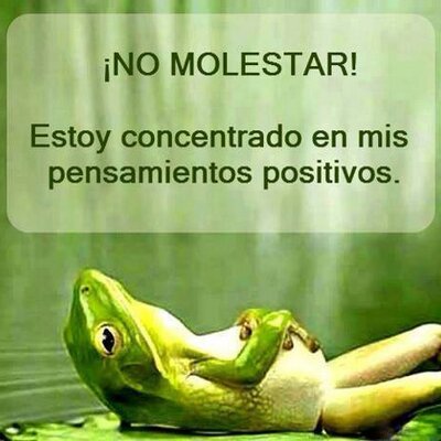 Profile Picture of Audrey Rincon (@audreyrincon) on Twitter