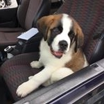 Profile Picture of Bryan Moberly (@bryanmoberly) on Instagram