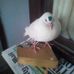 Profile Picture of Janet Pike (@janet.pike.96387) on Facebook