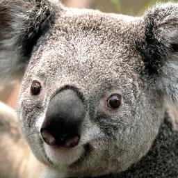 Profile Picture of Jonathan Blasingame (@jonatha52896075) on Twitter