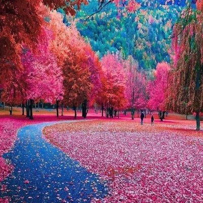 Profile Picture of Noé Antonio Corado Coradon488@gmail (@coradon488) on Twitter