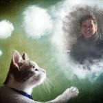 Profile Picture of Brian Normoyle (@normoyleb) on Instagram