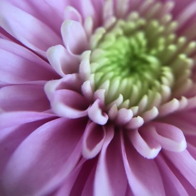 Profile Picture of Mia Blake (@_miablake_) on Twitter