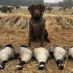Profile Picture of Sean Fritzges (@seanfritzges) on Instagram