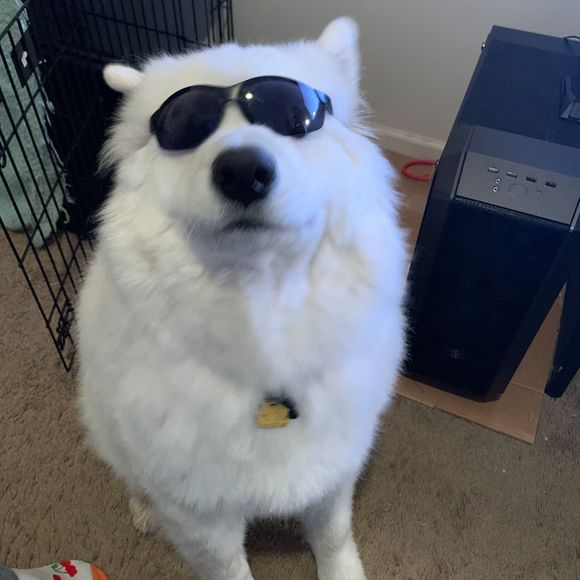 Profile Picture of Christopher Breen (@breen74) on Poshmark