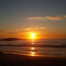 Profile Picture of Muriel Stevens (@Muriel_hpca) on Twitter