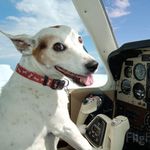 Profile Picture of Doug Dickey (@aerodetail) on Instagram