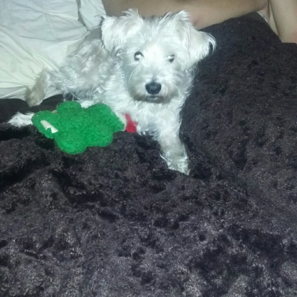 Profile Picture of Robin Correnti (@robinc1206) on Poshmark