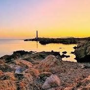 Profile Picture of Pietro Zacco (@peterzacco) on Tiktok