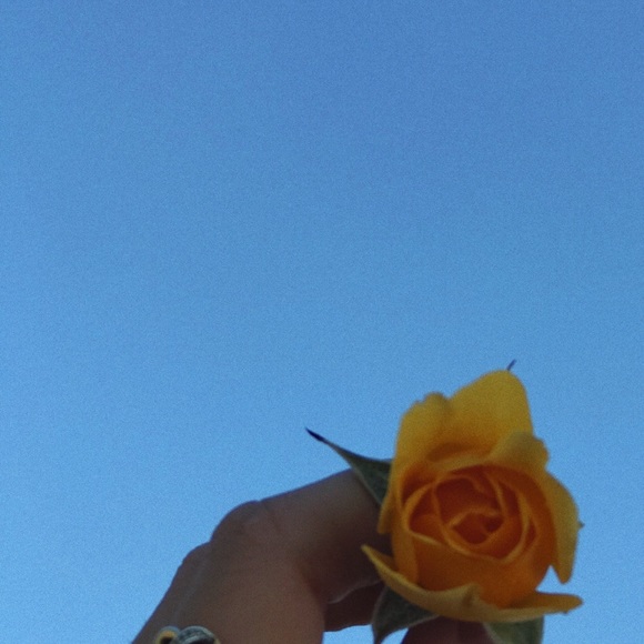 Profile Picture of Kaylee Thuman (@kayleethuman) on Poshmark