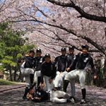 Profile Picture of 이 규 진 (@leejin_03) on Instagram