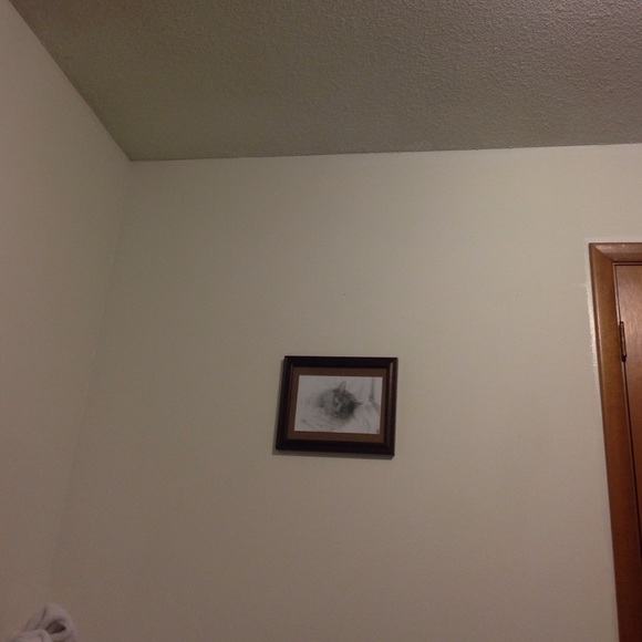 Profile Picture of Hannah Stensland (@hannahstensland) on Poshmark