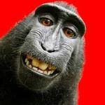 Profile Picture of Dave Ashby (@david.ashby543) on Instagram