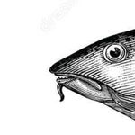 Profile Picture of Jonathan Gushue (@jonathan_gushue) on Instagram