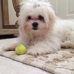 Profile Picture of Inez Richard (@inezrichard15) on Instagram