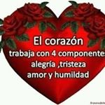 Profile Picture of Byron Molina (@byron.molina.792303) on Instagram